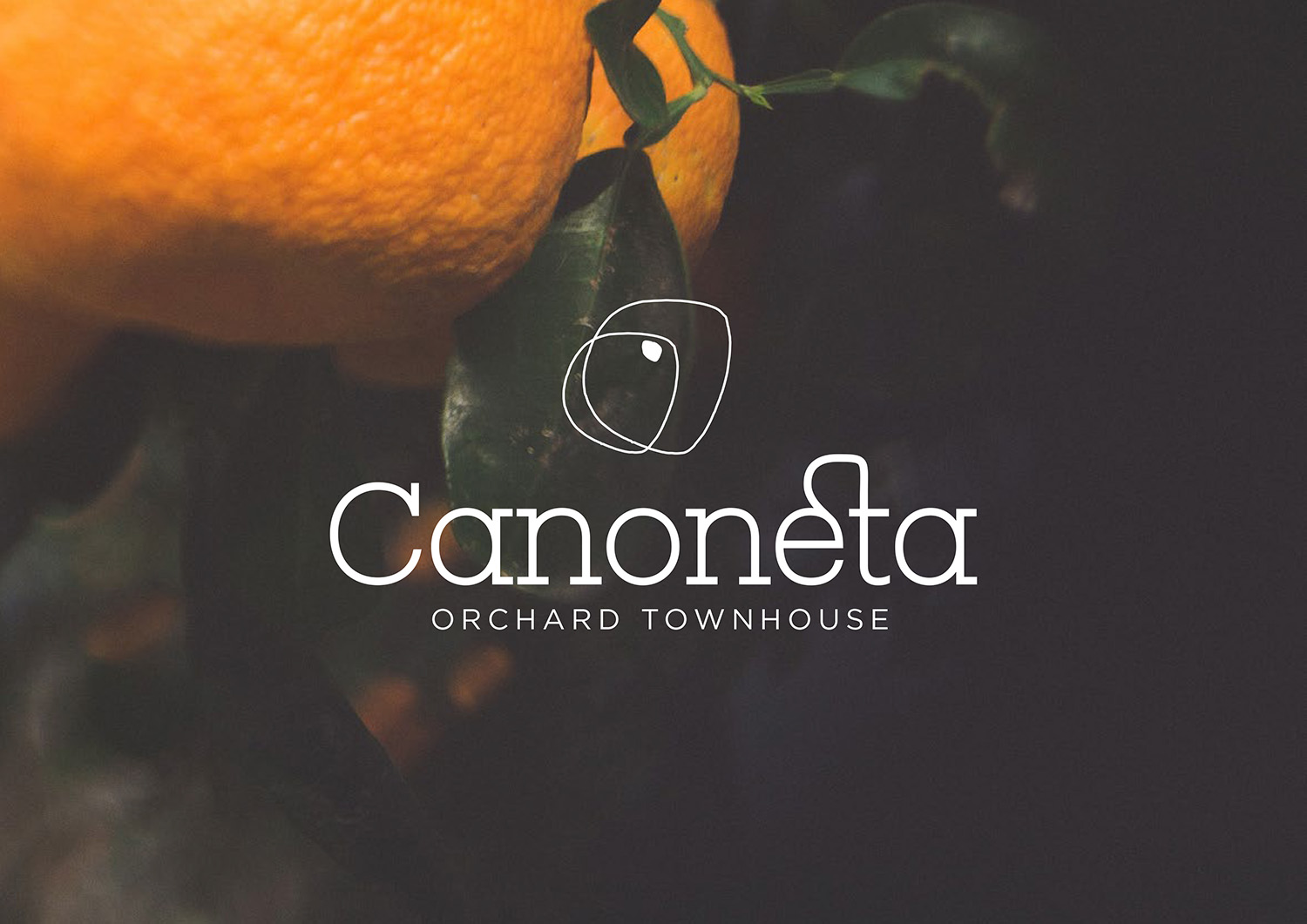 Rendering branding Canoneta